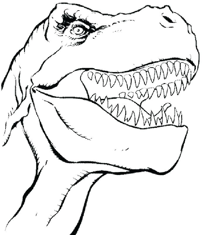 699x800 T Rex Color