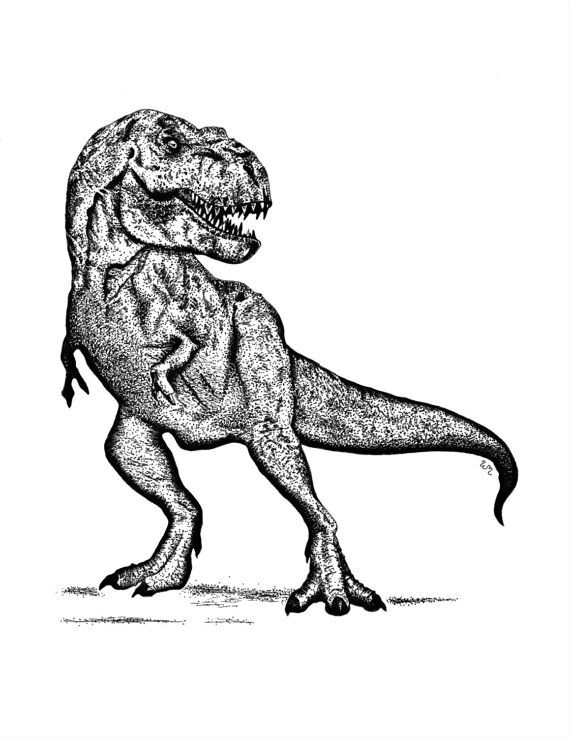 570x738 Or Tyrannosaurus Rex T Rex Dinosaur