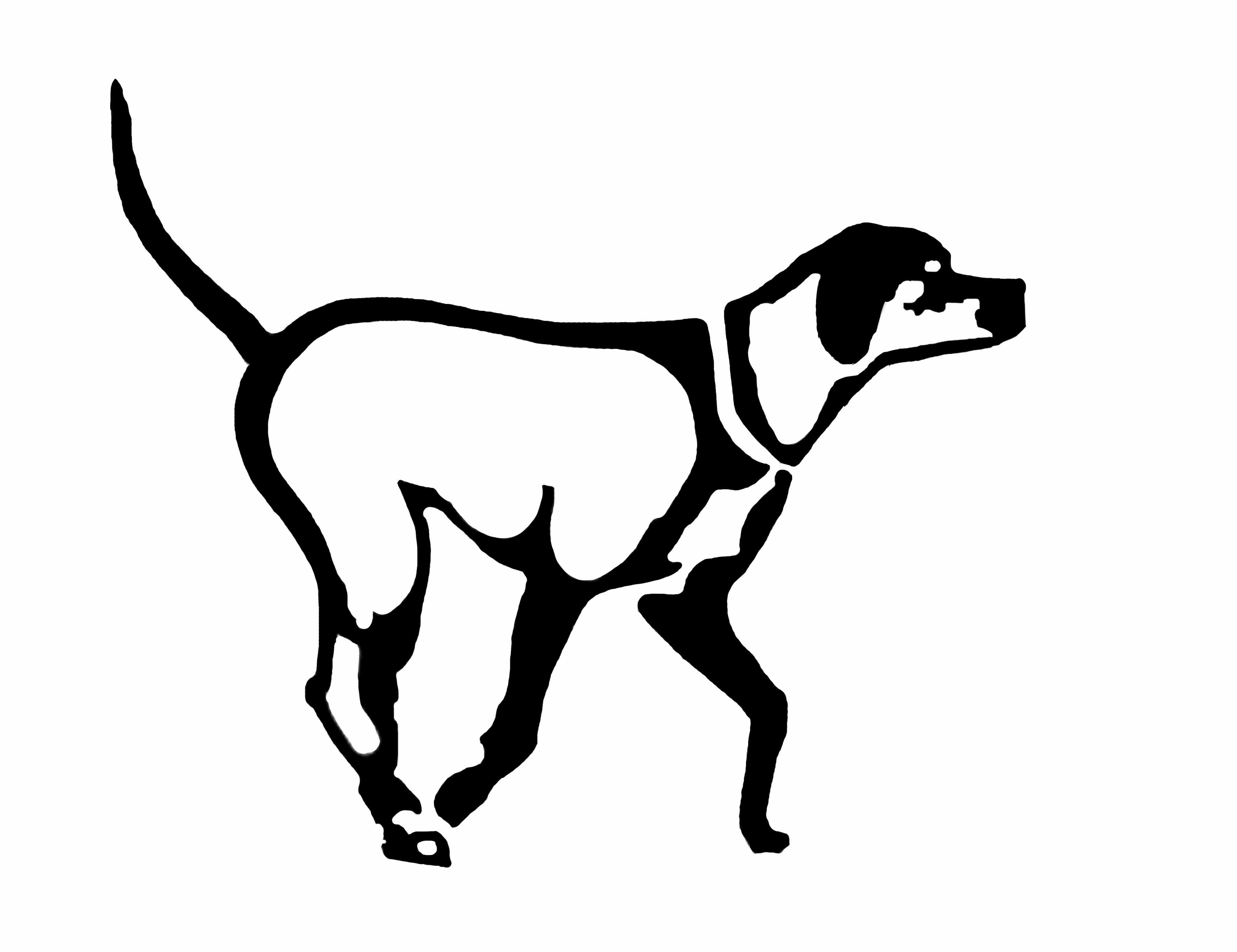 3600x2769 Dirty Dog Home