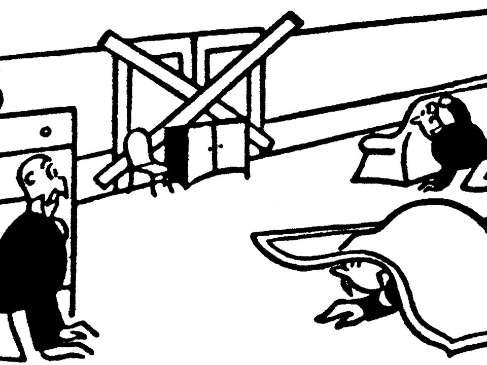 960x720 Disaster Island The New Yorker