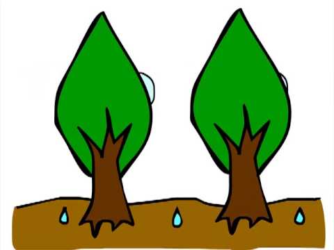 480x360 Disaster Management Drought