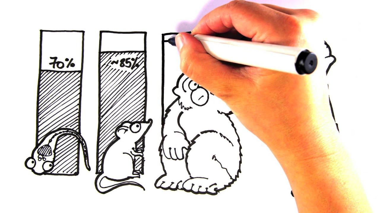 1280x720 Drawn To Science Zebrafish