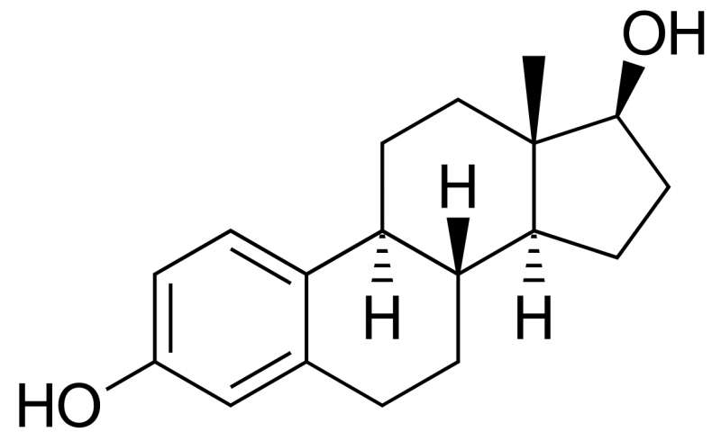800x480 Estrogen Discovery Could Shed New Light On Fertility Problems