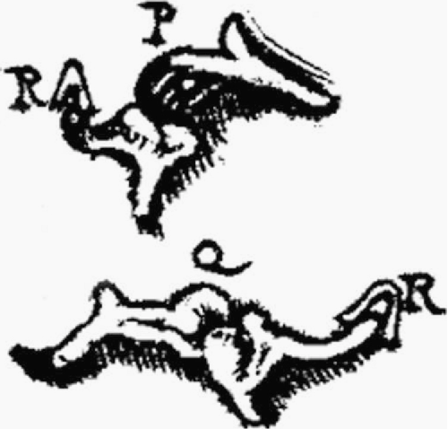 500x478 Figure From Disputes Surrounding The Discovery Of The Stapes