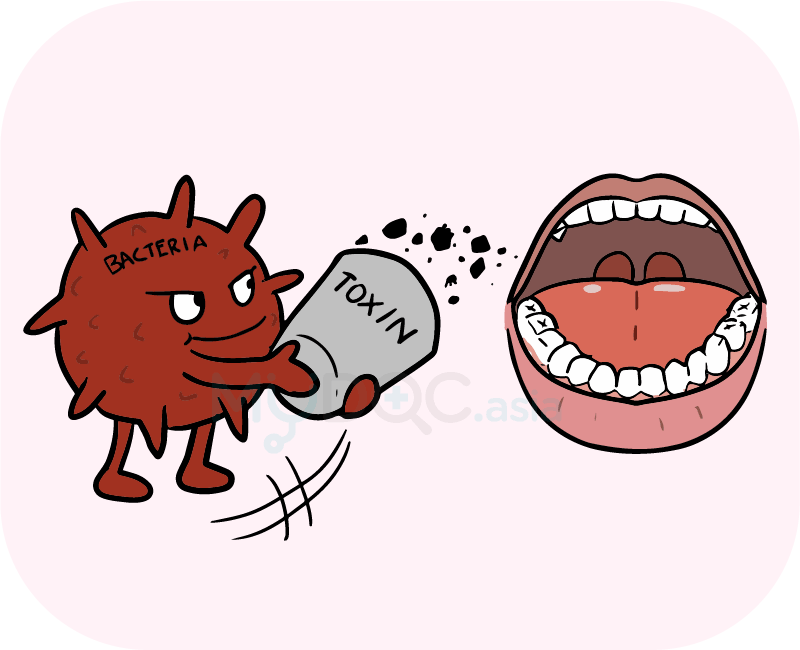 800x650 Collection Of Free Bacteria Drawing Mouth Download On Ui Ex