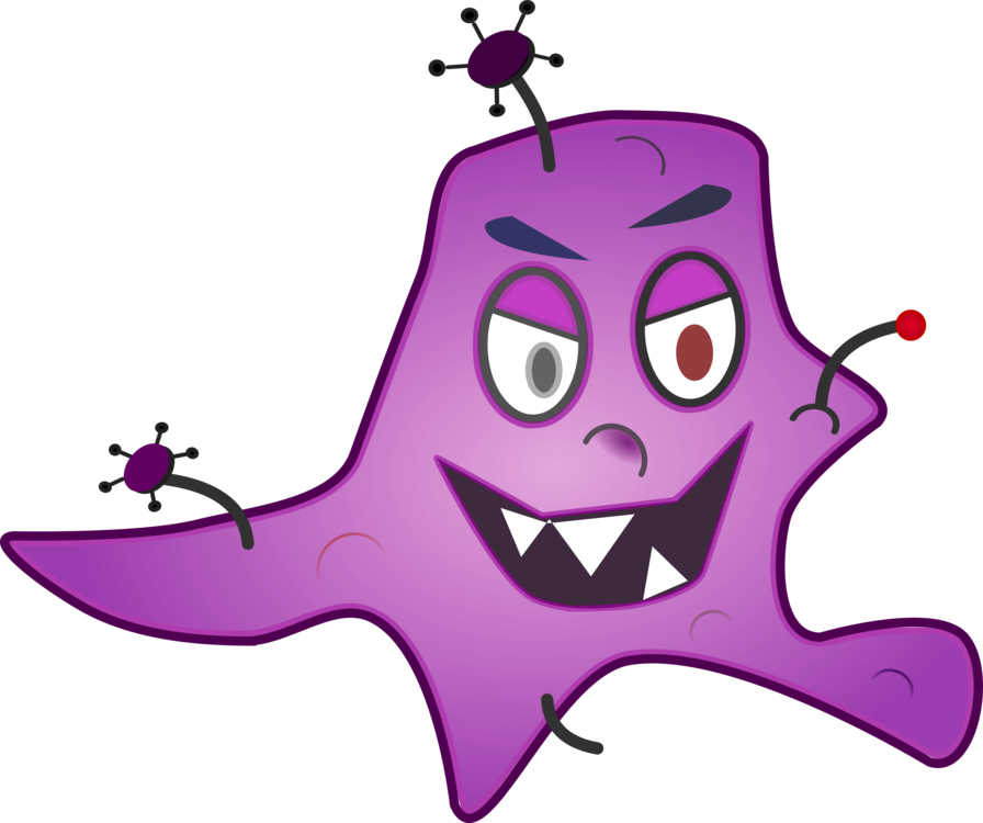 896x750 Germ Theory Of Disease Download Drawing Bacteria Cc0