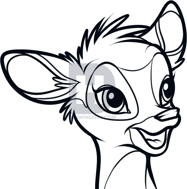 631x638 How To Draw Bambi Easy, Step