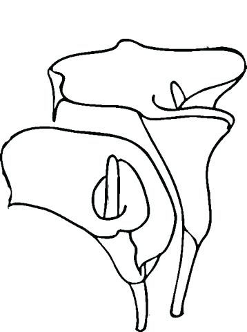 358x480 Lilies Coloring