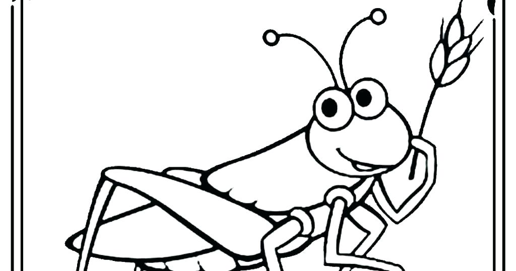 1024x538 Coloring Pages Disney For Adults Halloween Boys Grasshopper