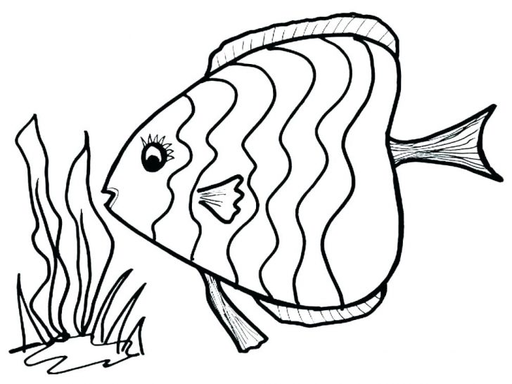 728x546 Coloring Pages Halloween For Adults Free Disney Easy Stylized Fish