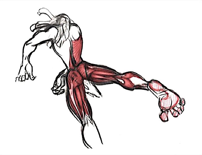 651x500 character design references