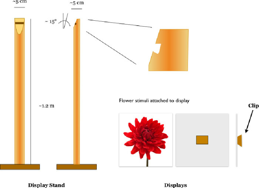 840x609 Stimulus Display Stand A Schematic Drawing Showing The Design