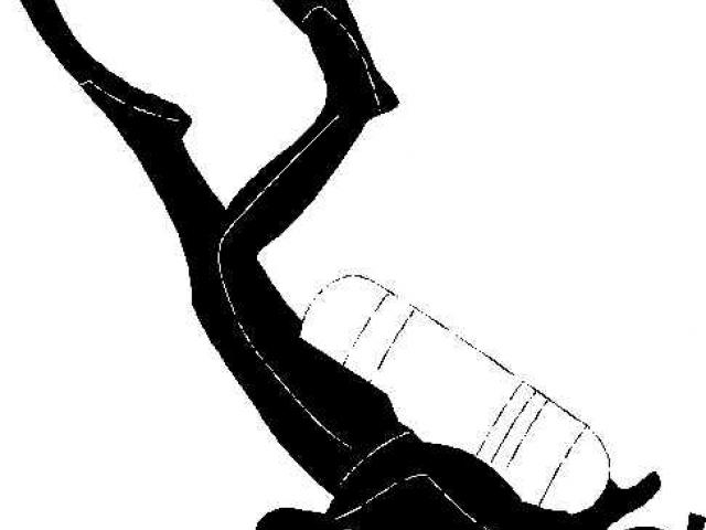 640x480 Free Scuba Diver Clipart, Download Free Clip Art