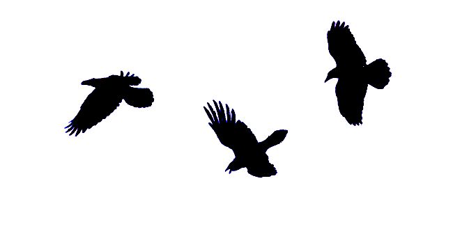 683x362 Tris Tattoo Stencil