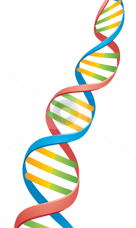 270x450 dna double helix clip art