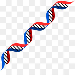 260x260 dna double helix png