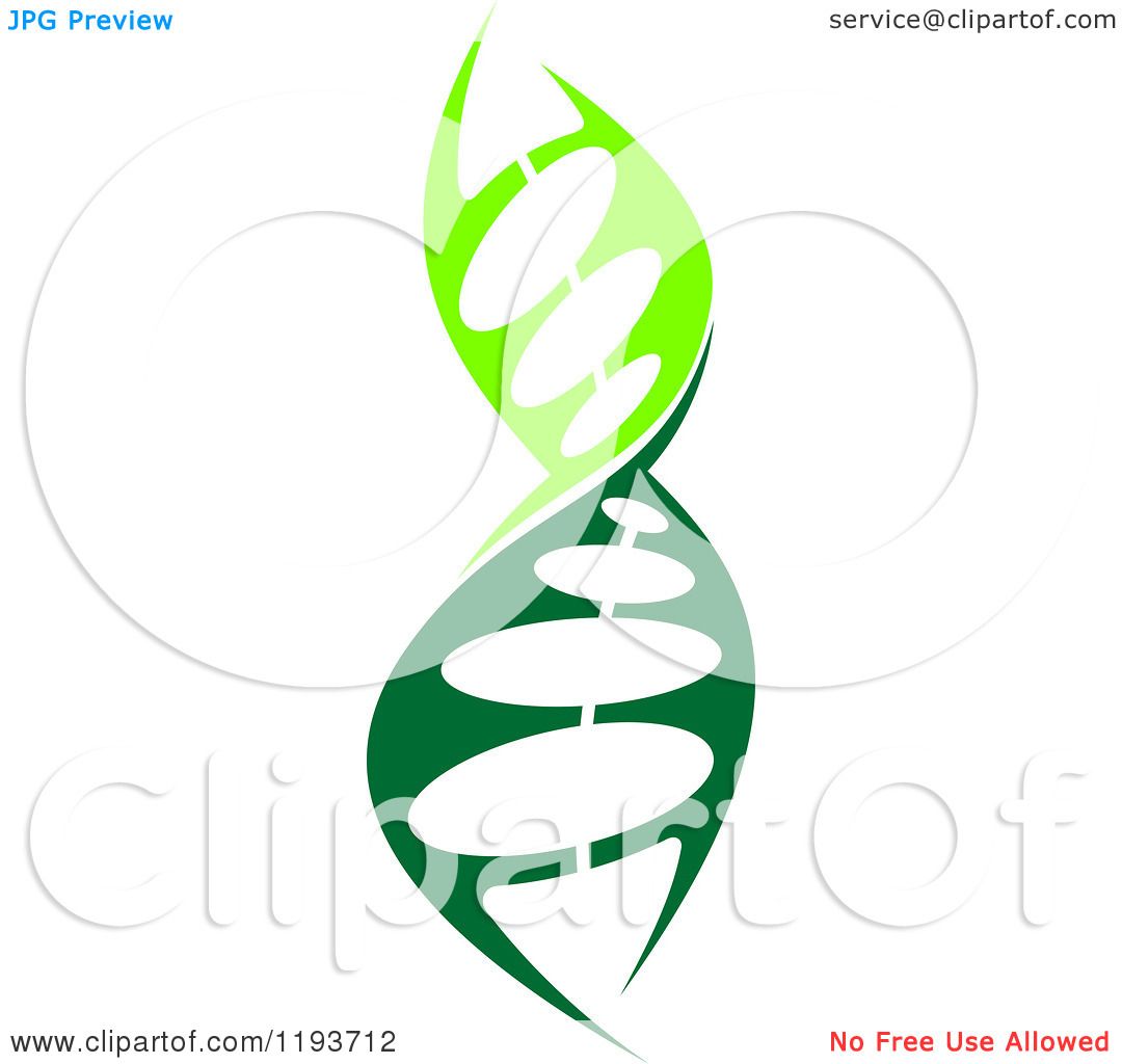 1080x1024 Dna Helix Drawing