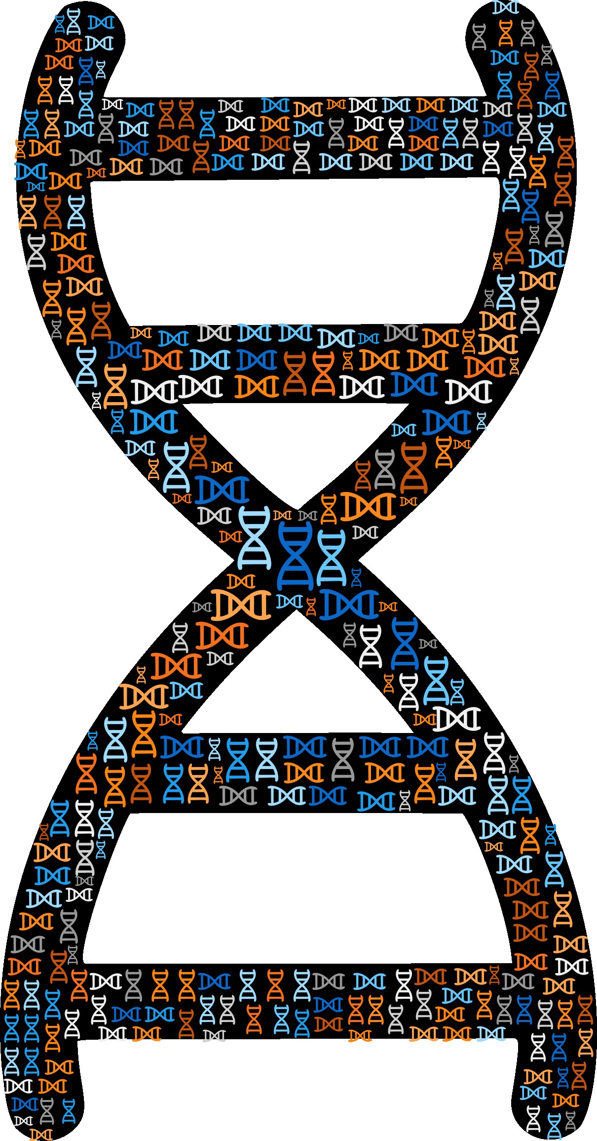 1210x2310 free clipart of a black and white dna strand double helix