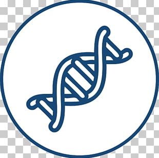 310x308 nucleic acid double helix dna drawing sine wave png, clipart