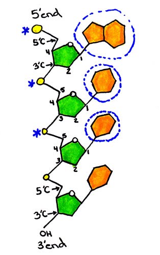 314x500 Reading Review
