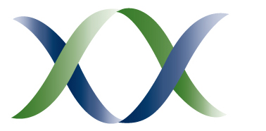 378x186 Adobe Photoshop