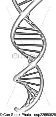 225x470 dna dna model fun pics images
