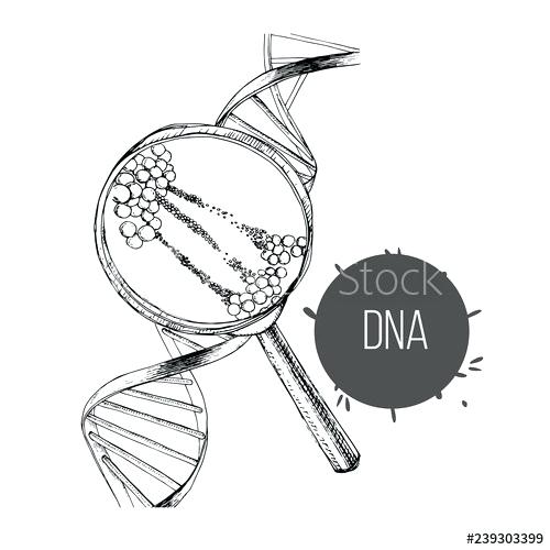 500x500 Dna Coloring