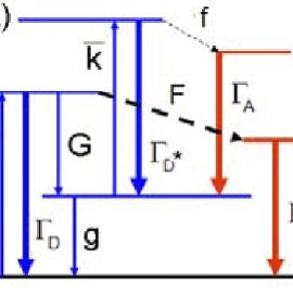 270x270 Dna Molecule Labeled