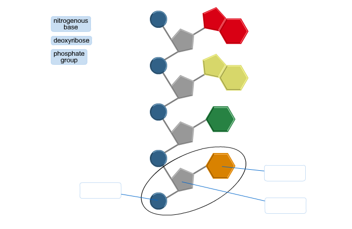 693x452 Solved Which Of The Following Statements Describes Pu