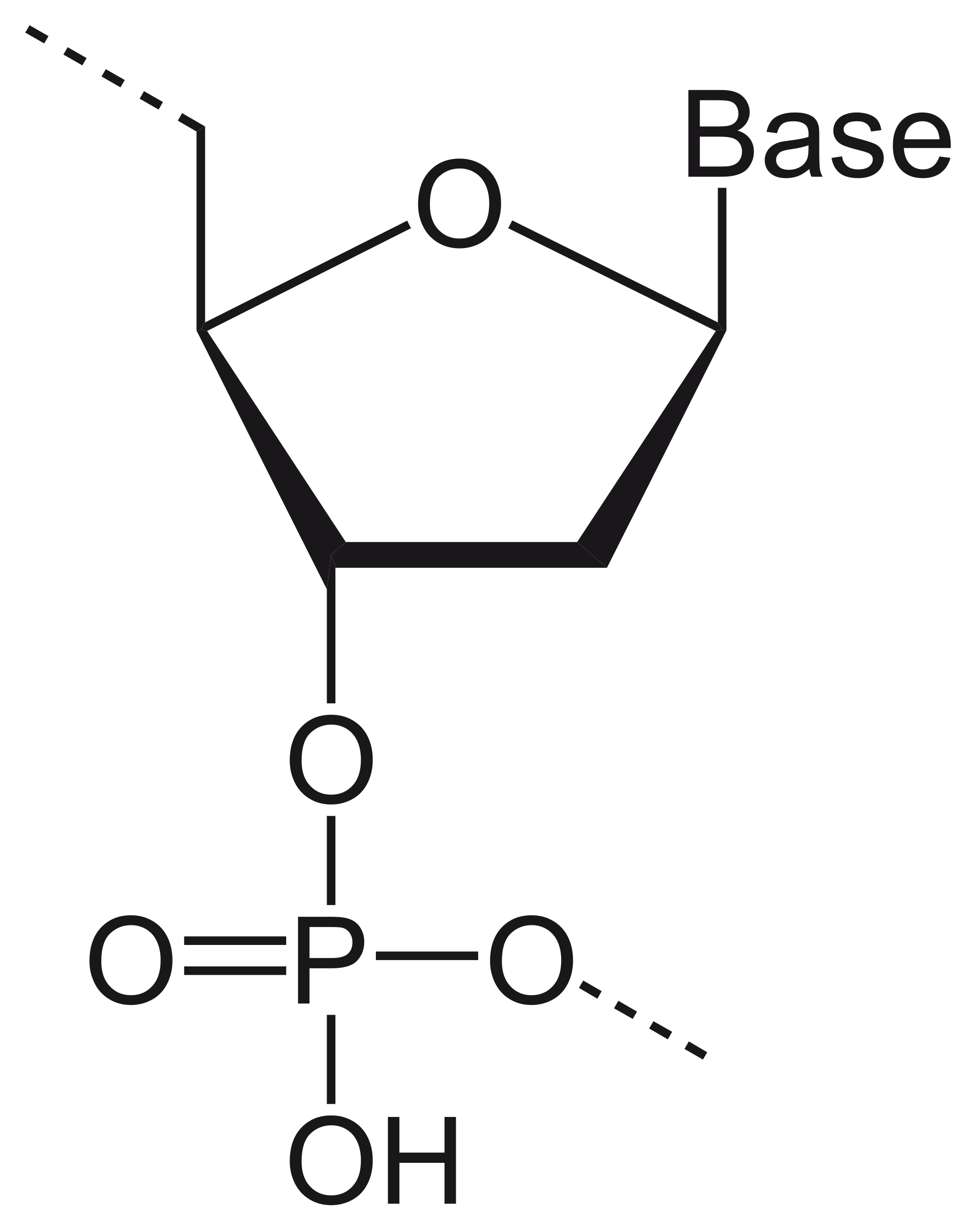 2000x2528 Dna Drawing Drawing Labeled For Free Download