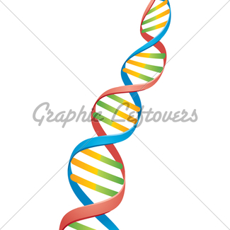 325x325 Dna Double Helix Sketch Gl Stock Images