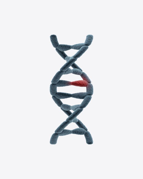 466x580 Download Dna Helix Transparent Png On Yellow Images