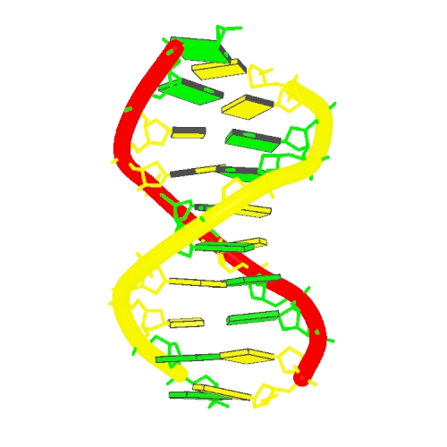 Dna Helix Drawing | Free download on ClipArtMag