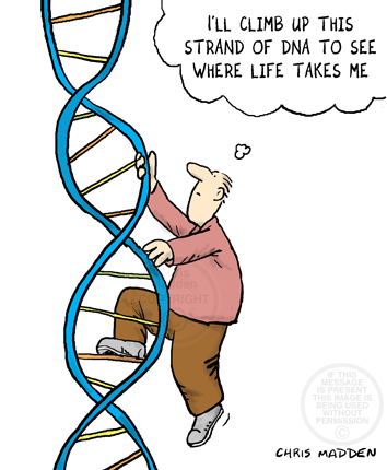 354x430 dna as a spiral staircase or ladder cartoon dna and genetics
