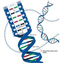 216x219 introduction to genetic engineering and its applications