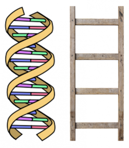 263x300 Snapshot What Is Dna Scasource