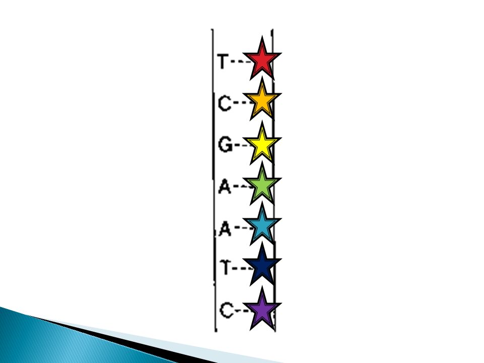 960x720 structure and function