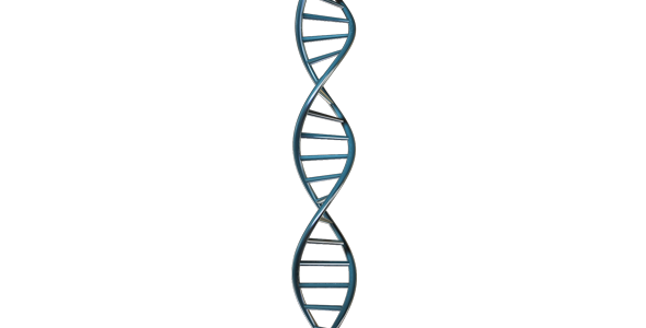 590x300 Dna Strand Animated With Alpha