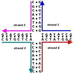 250x250 Nucleic Acid Structure
