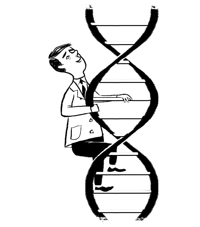 Dna Model Drawing | Free download on ClipArtMag