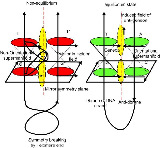 512x476 The Current In Systems Of Transcriptions