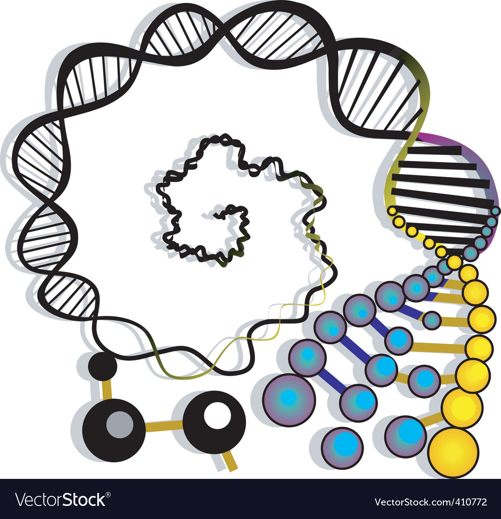 1000x1035 best dna model photos blue maize