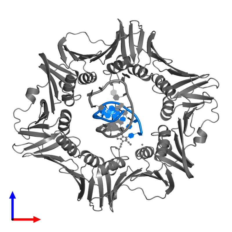 800x800 Pdb Gallery Protein Data Bank In Europe
