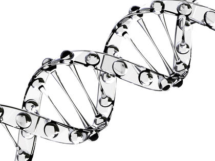 420x315 Recombinant Dna