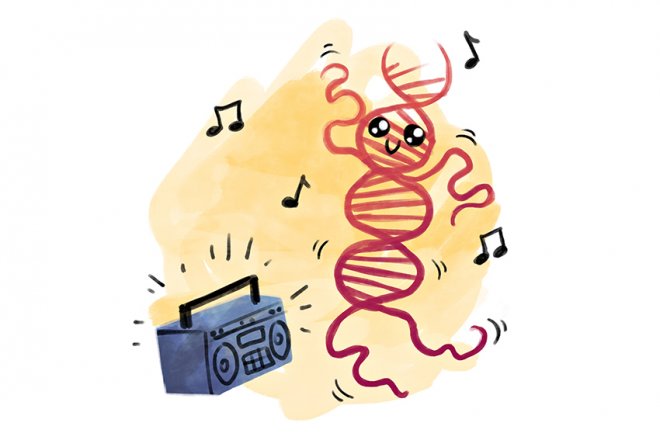 660x440 Researchers Develop First Dna Only Chemical Oscillator The Daily