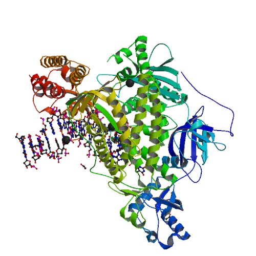500x500 rcsb pdb