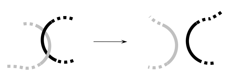 775x269 Solved In The Following Schematic Drawing, Two Dna Molecu
