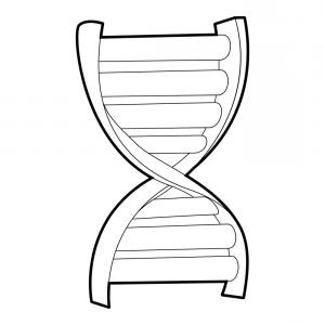 300x300 Dna Strand Icon Isometric D Style Vector Soidergi