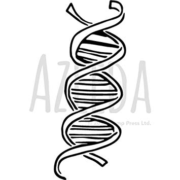 355x355 'dna Strand' Wall Stencil Template