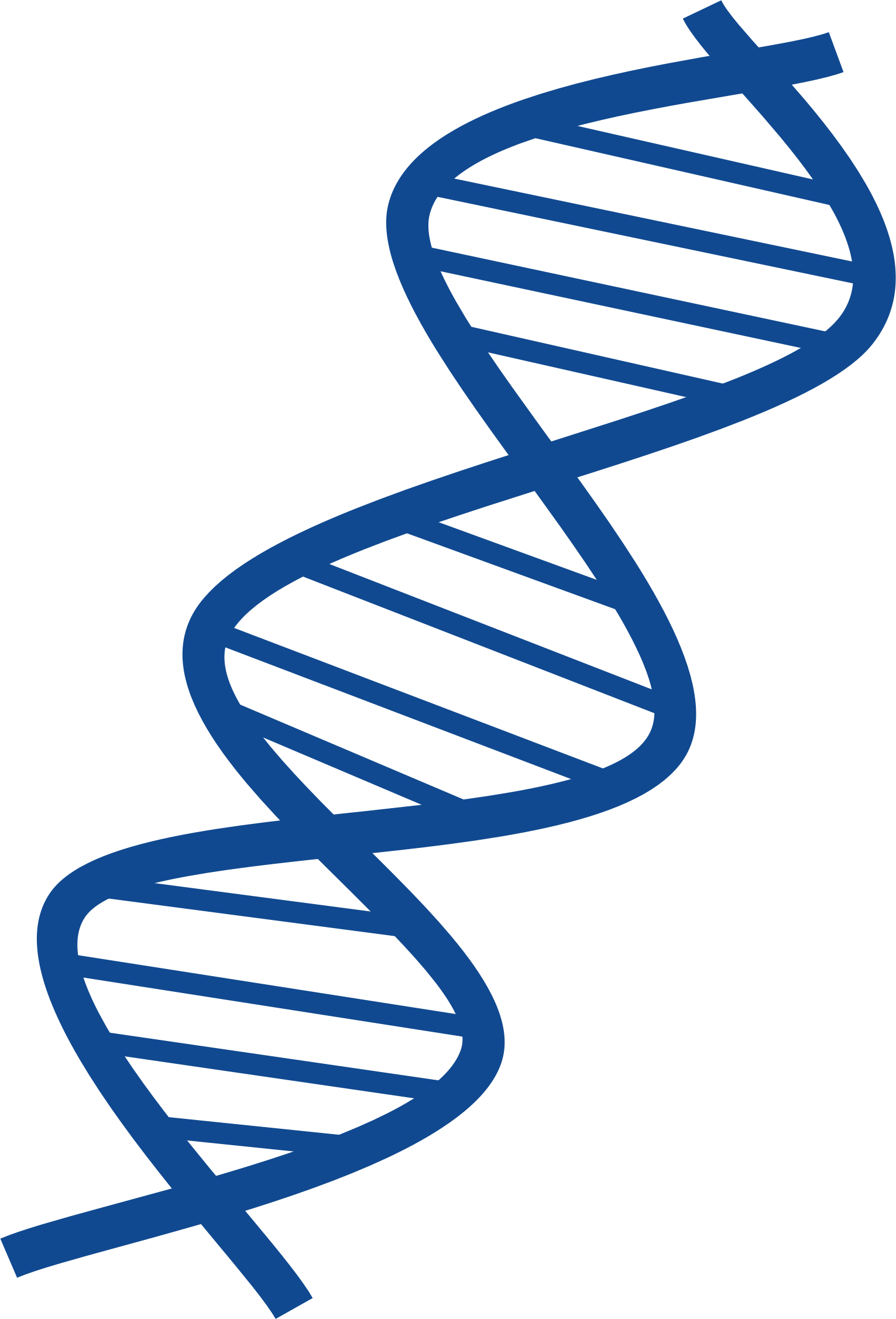 1531x2254 Collection Of Free Dna Drawing Biology Download On Ui Ex